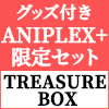 【アニプレックス オンライン限定セット】Fate/Samurai Remnant TREASURE BOX＜PS5＞